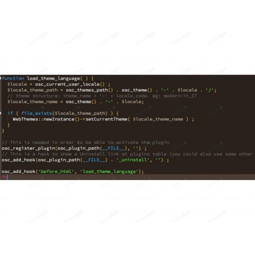 Theme Language Osclass Plugin
